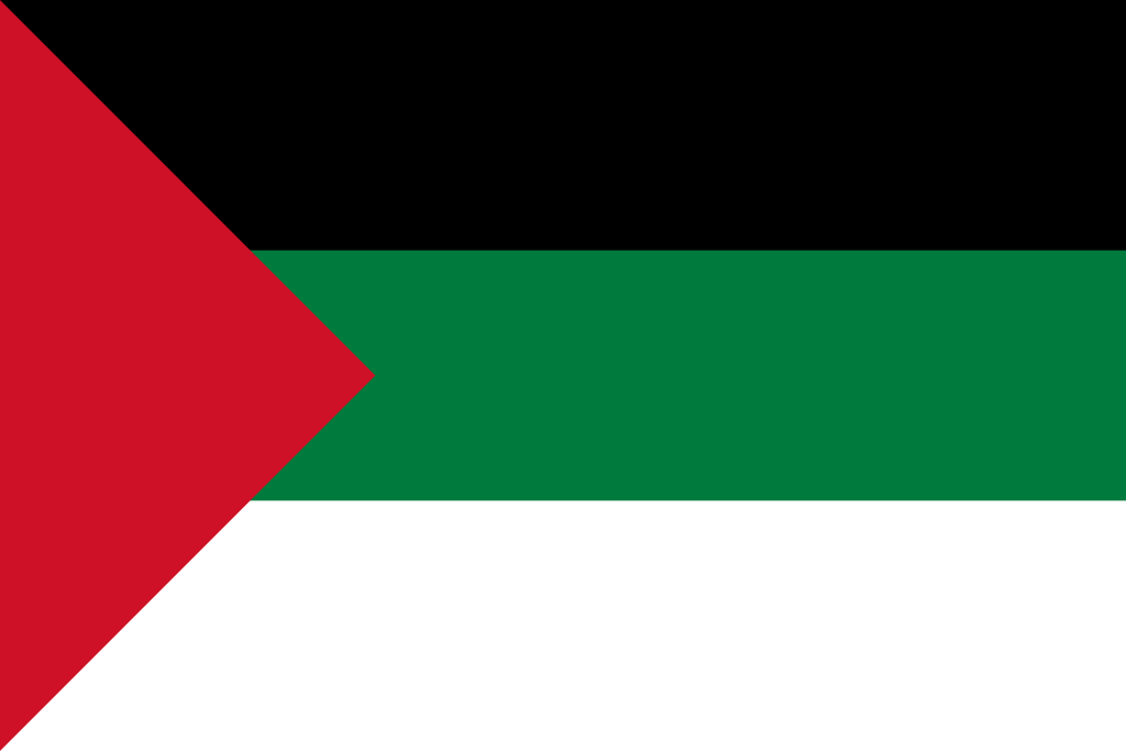 Petite histoire illustrée du drapeau palestinien - Les carnets d